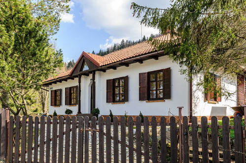 Foto 10 - Casa de 4 quartos em Maków Podhalański com jardim e vista para a montanha