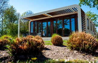 Photo 1 - Maison de 2 chambres à Hulshorst avec piscine et terrasse