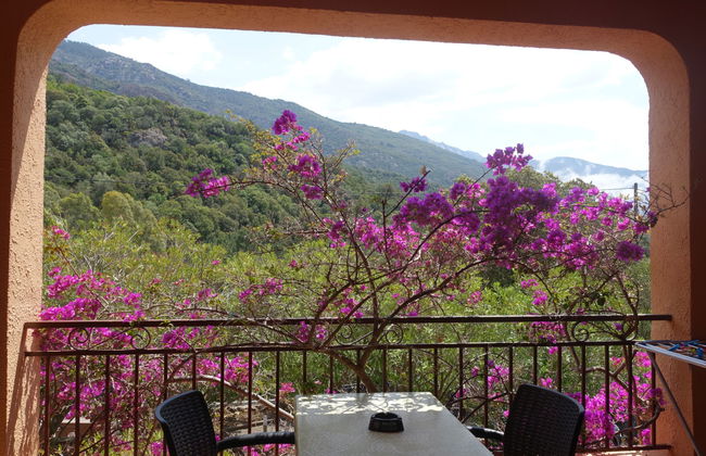 Apartamento de 1 quarto em Serriera com piscina e terraço - Foto 13