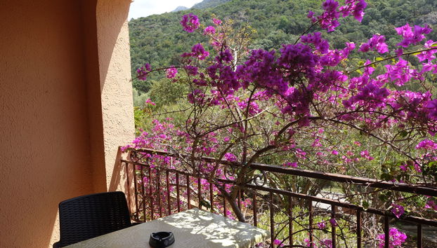 Appartamento con 1 camera da letto a Serriera con piscina e terrazza - Foto 4