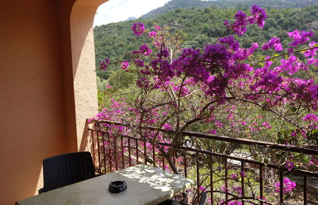 Apartamento de 1 quarto em Serriera com piscina e terraço - Foto 4