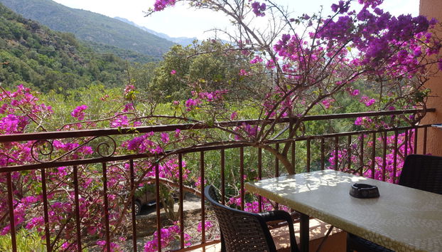 Appartamento con 1 camera da letto a Serriera con piscina e terrazza - Foto 5