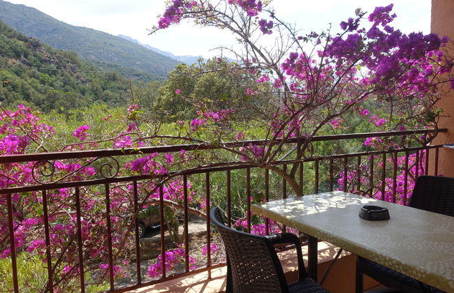 Apartamento de 1 quarto em Serriera com piscina e terraço - Foto 5
