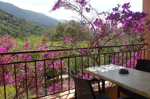 Photo 5 - Appartement en Serriera avec piscine et terrasse