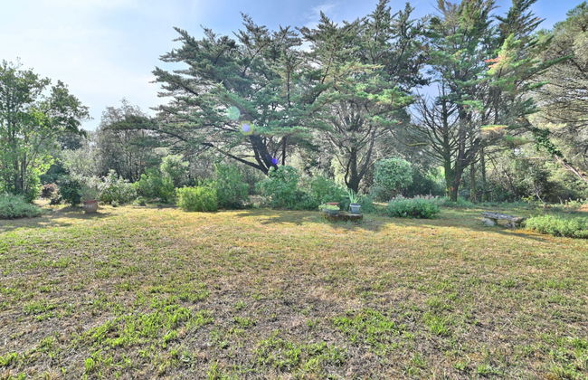 Casa de 4 quartos em Saint-Pierre-d'Oléron com jardim e terraço - Foto 41