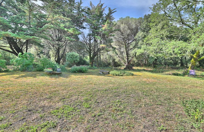 Casa de 4 quartos em Saint-Pierre-d'Oléron com jardim e terraço - Foto 43