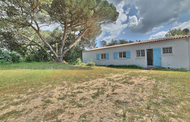 Casa de 4 quartos em Saint-Pierre-d'Oléron com jardim e terraço - Foto 39