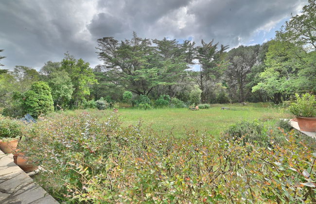 Casa de 4 quartos em Saint-Pierre-d'Oléron com jardim e terraço - Foto 47