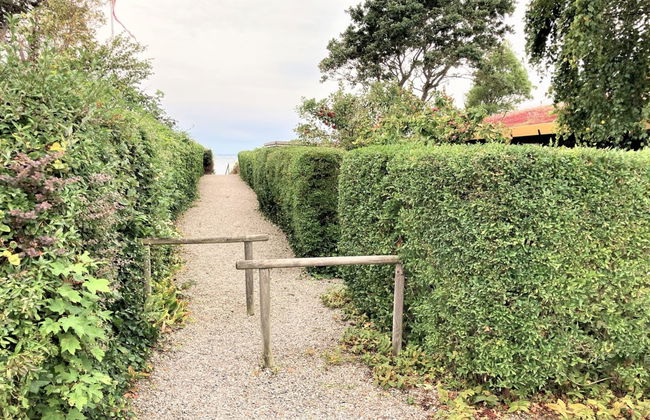 Casa de 3 quartos em Assens com terraço - Foto 4