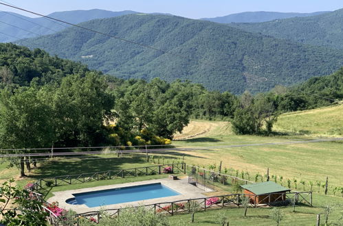 Foto 5 - Casa de 4 quartos em Cortona com piscina privada e jardim