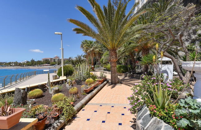 1 bedroom Apartment in San Bartolomé de Tirajana with swimming pool - Photo 16