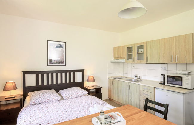 Apartamento de 1 quarto em Arnoltice com jardim e terraço - Foto 3