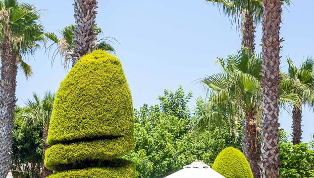 Stavros Melathron - Photo 4