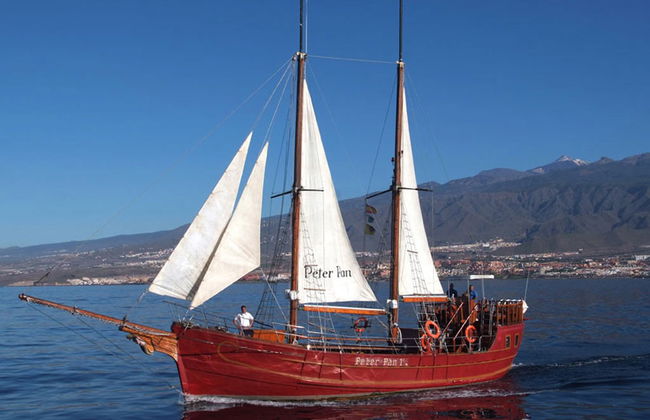 Paseo en barco Peter Pan - Foto 2