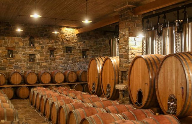 Excursión privada de un día completo a la región vinícola de la Istria eslovena desde Portorož/Piran - Foto 3