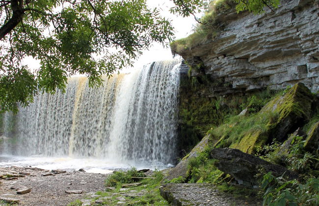 Visita al Parque Nacional de Lahemaa - Foto 2