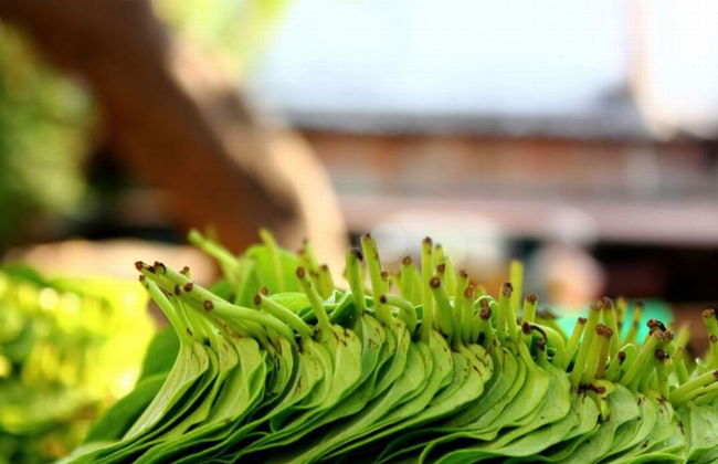 Recorrido a pie privado por Mylapore - Foto 2