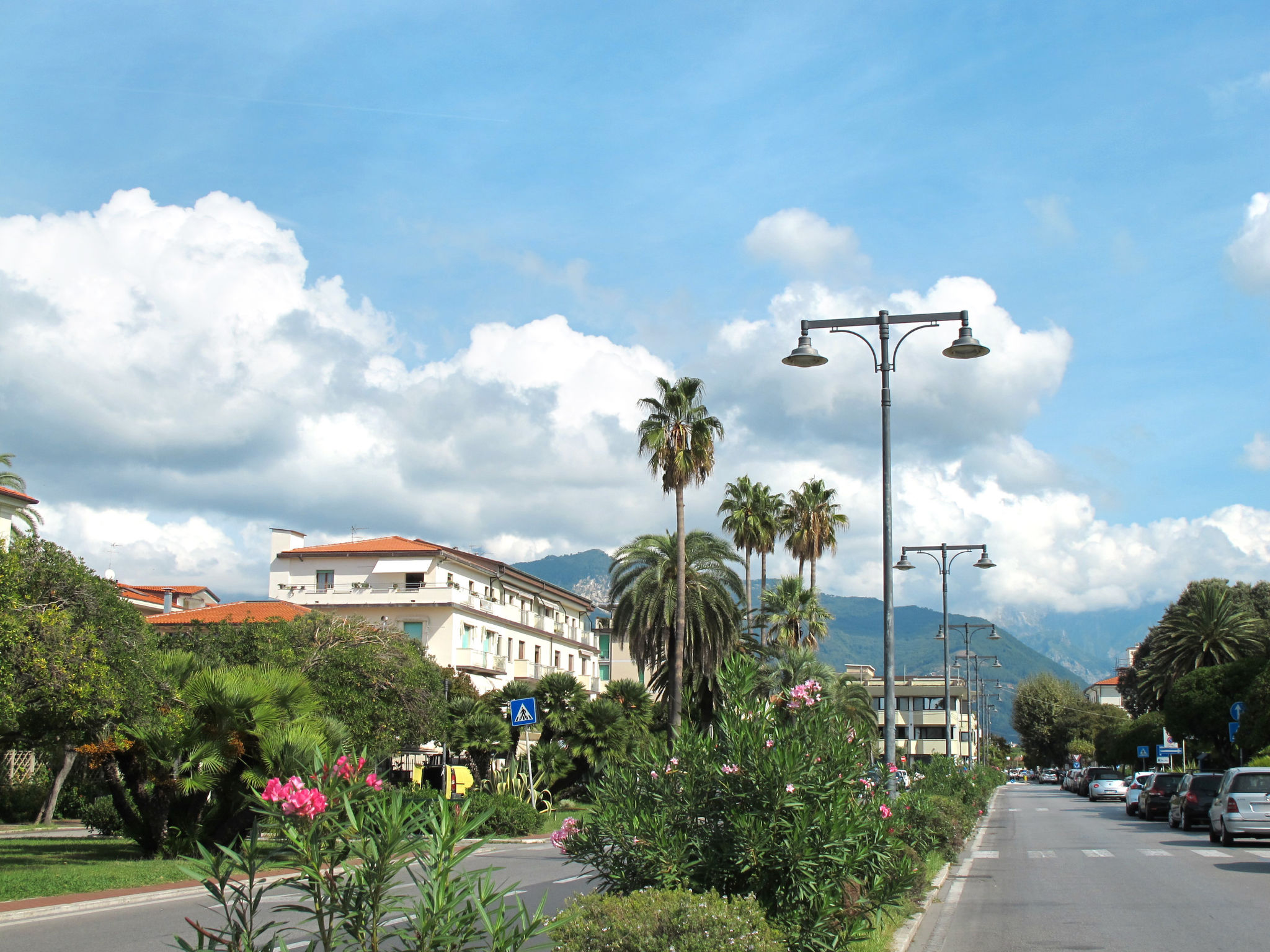 Photo 24 - 1 bedroom Apartment in Massa with garden and sea view