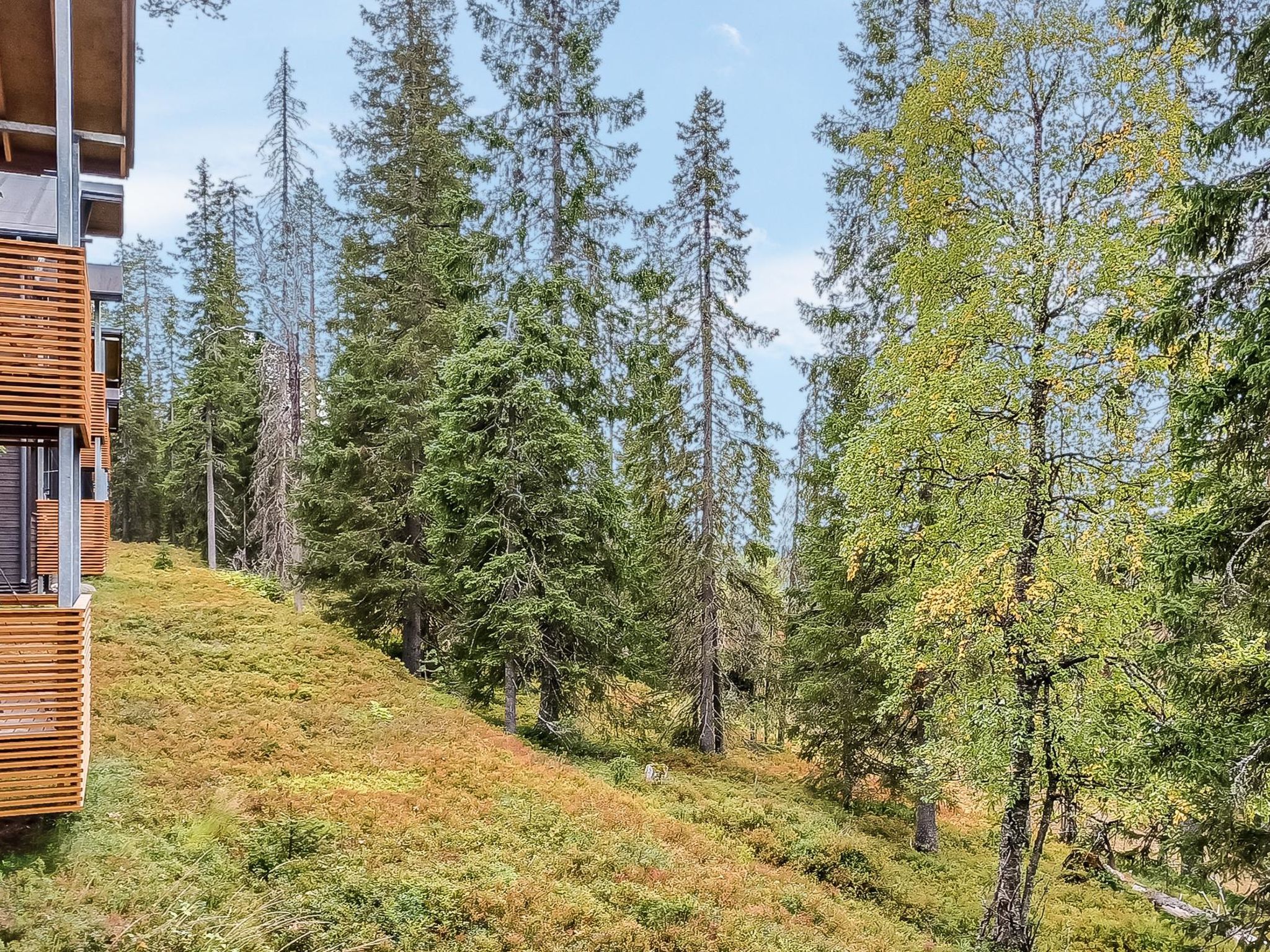 Photo 19 - Maison de 1 chambre à Kuusamo avec sauna et vues sur la montagne