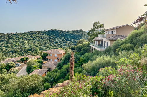 Foto 35 - Appartamento con 1 camera da letto a Zonza con piscina e vista mare