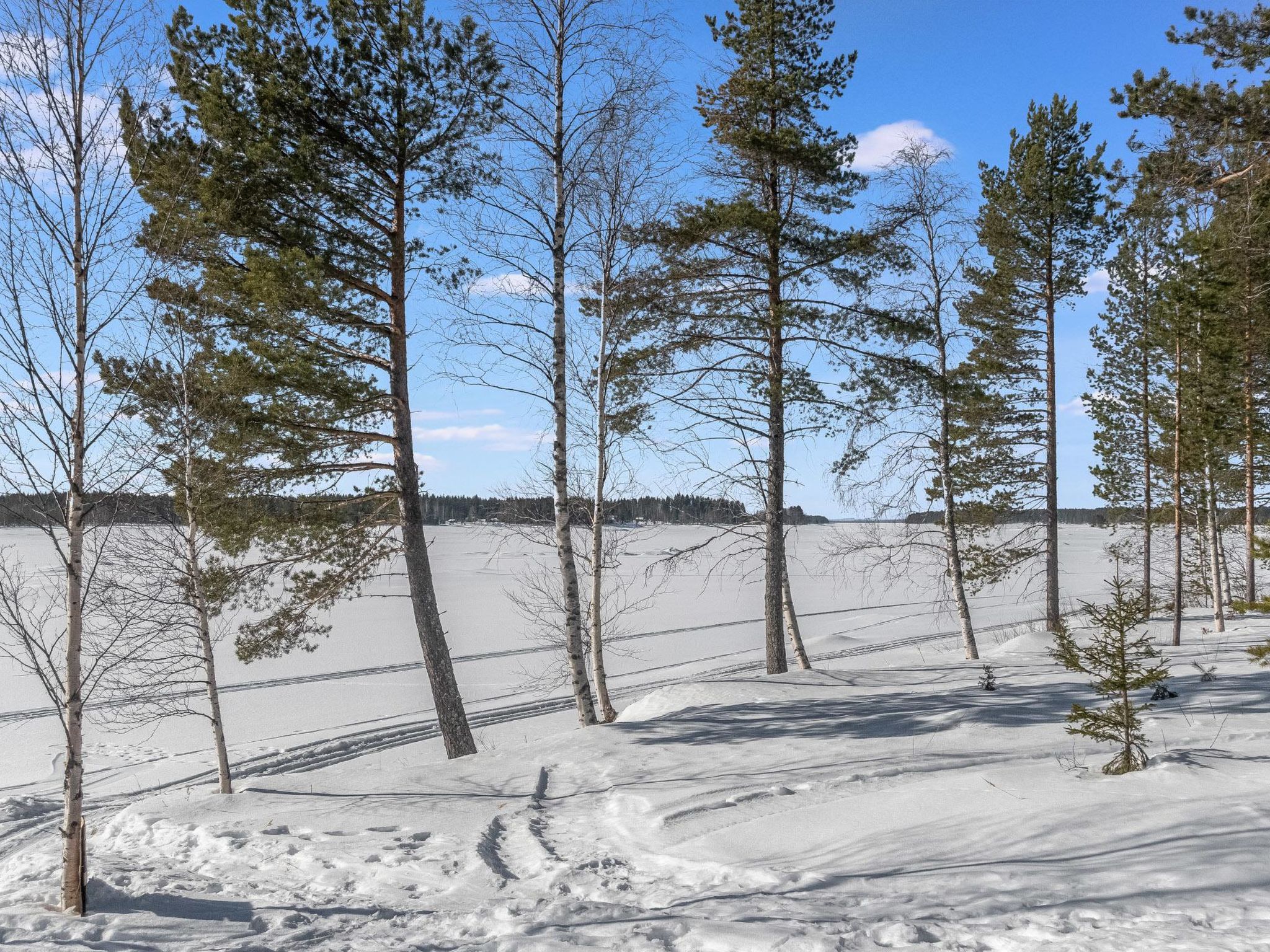 Photo 26 - Maison de 2 chambres à Kuhmo avec sauna