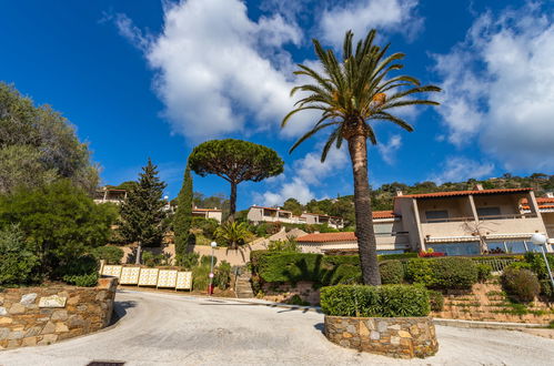 Foto 20 - Appartamento con 2 camere da letto a Rayol-Canadel-sur-Mer con piscina e giardino