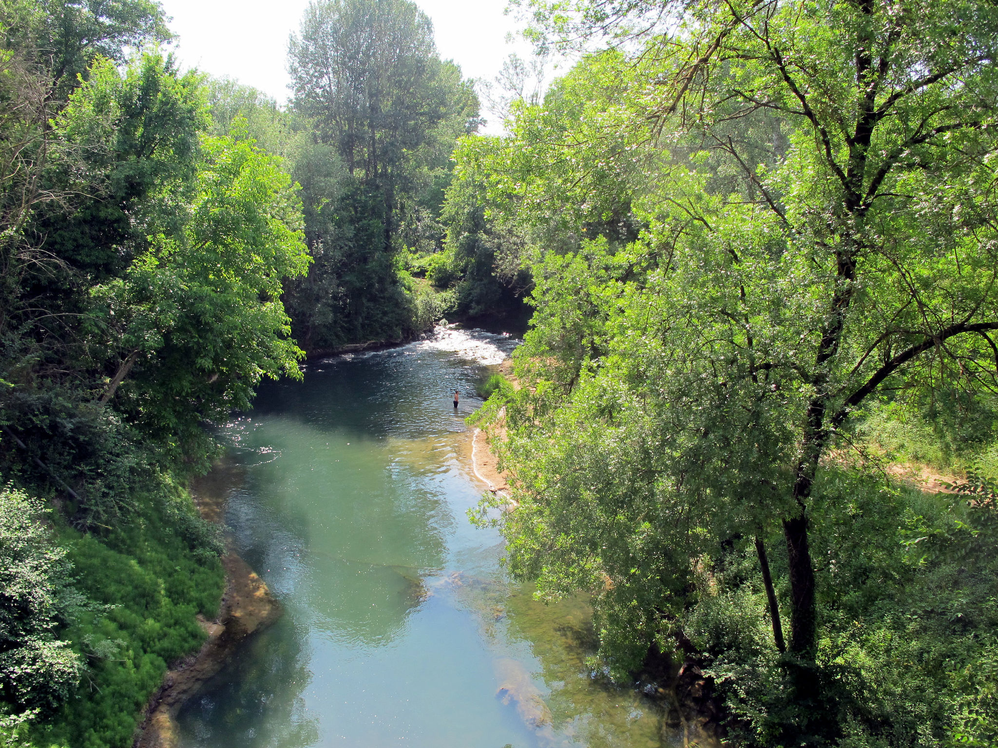 Photo 20 - 3 bedroom House in Carcès with private pool and garden