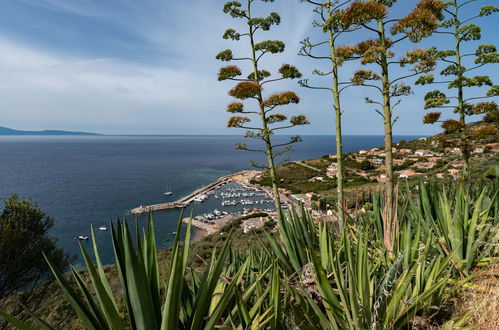 Photo 16 - 1 bedroom Apartment in Cargèse with garden and sea view