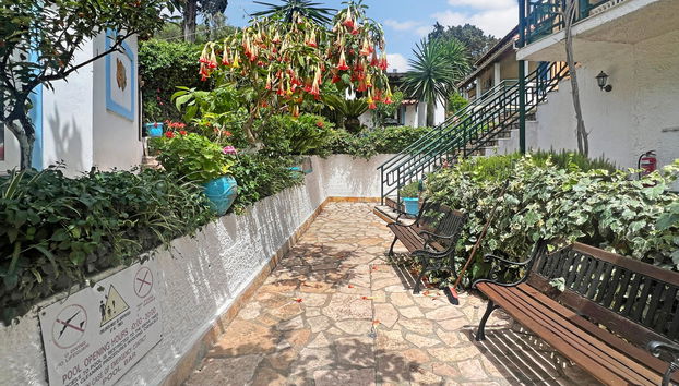 Andromaches Holiday apartments - Foto 3