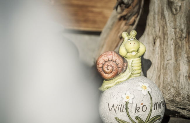 Casa de 3 quartos em Schwendau com jardim e terraço - Foto 28