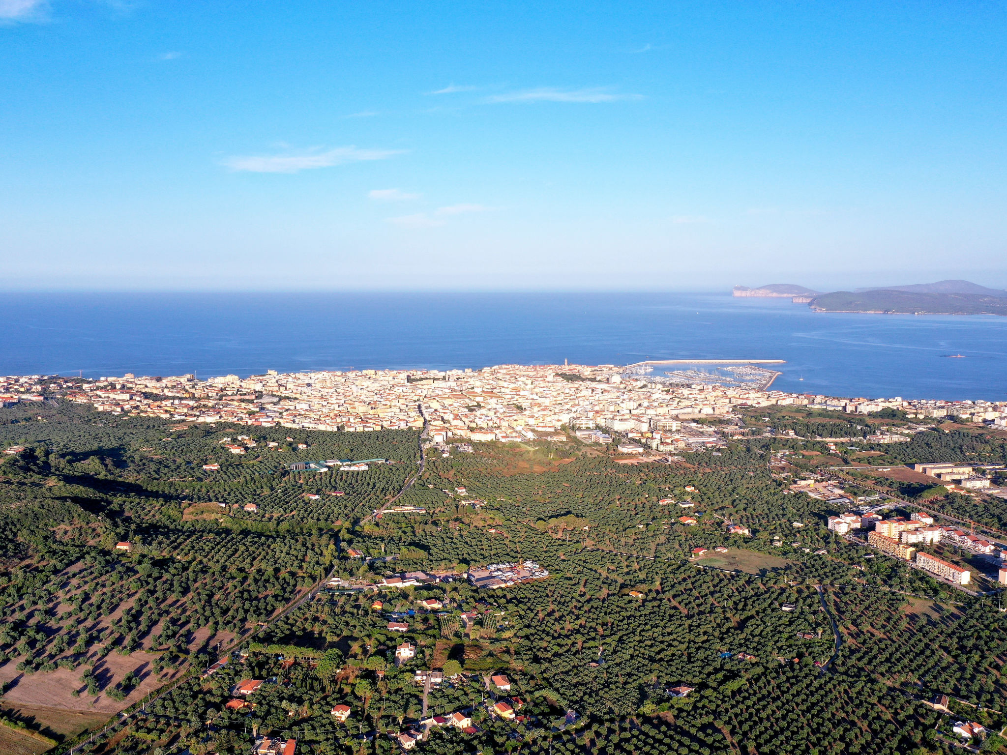 Foto 19 - Appartamento con 1 camera da letto a Alghero con terrazza