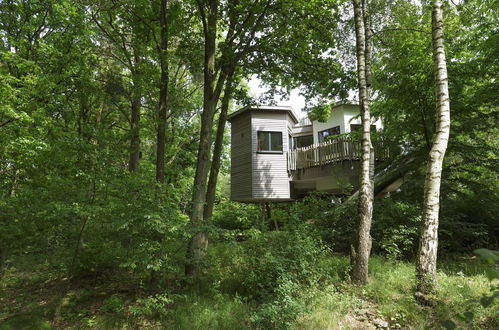 Foto 7 - Casa con 2 camere da letto a Bispingen con piscina e terrazza