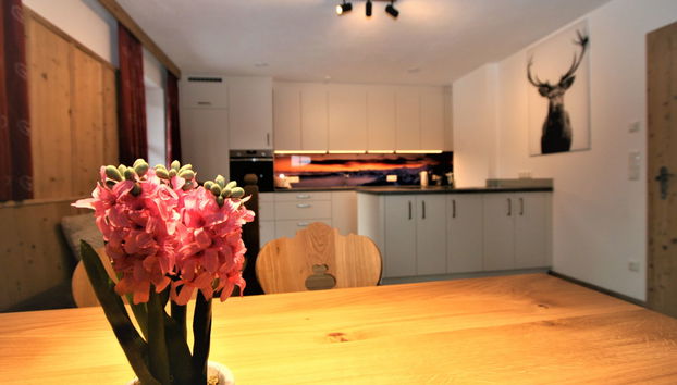 Apartment mit 2 Schlafzimmern in Wildschönau mit garten und terrasse - Foto 4
