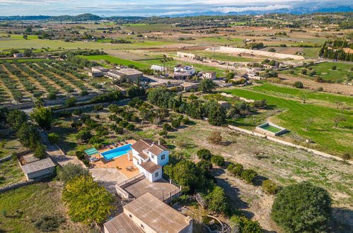 Foto 38 - Casa de 2 habitaciones en Sineu con piscina privada y jardín