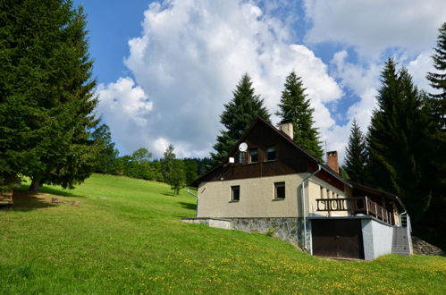 Foto 20 - Casa de 3 quartos em Vítkovice com vista para a montanha