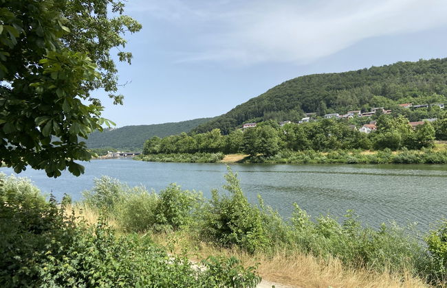 Casa de 3 quartos em Riedenburg com jardim e terraço - Foto 22