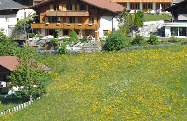 Apartamento de 1 quarto em Adelboden com jardim - Foto 1