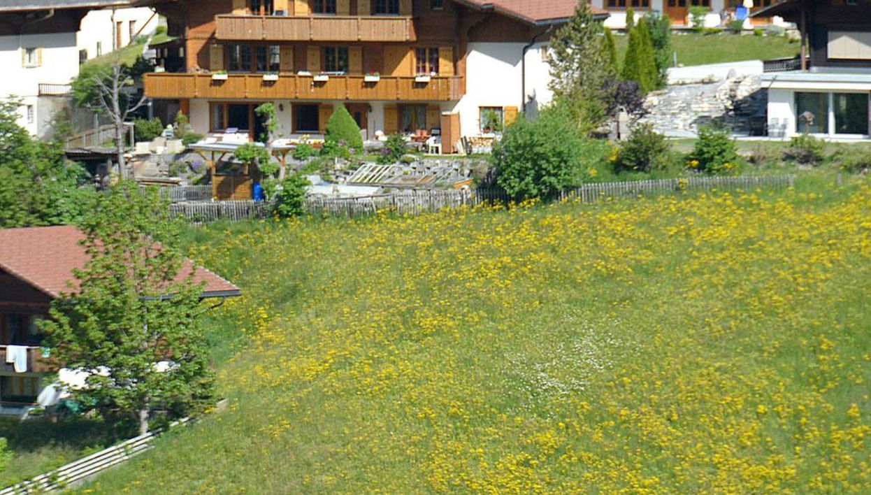 Apartamento de 1 quarto em Adelboden com jardim - Foto 1