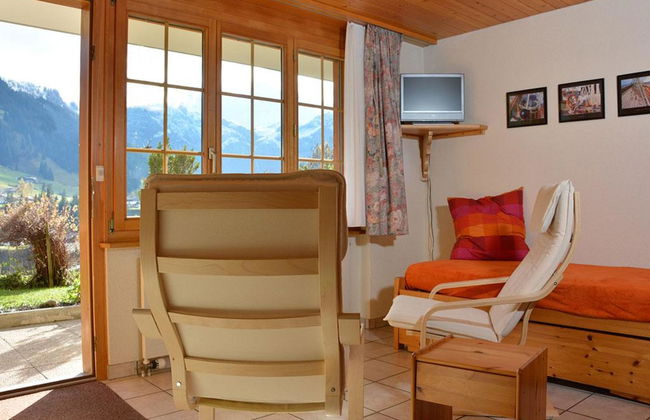 Apartamento de 1 quarto em Adelboden com jardim - Foto 4