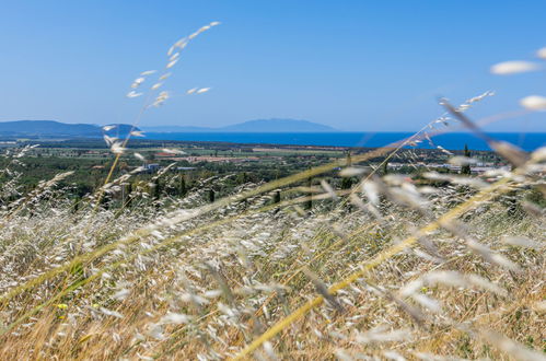 Foto 42 - Haus mit 2 Schlafzimmern in San Vincenzo mit schwimmbad und blick aufs meer