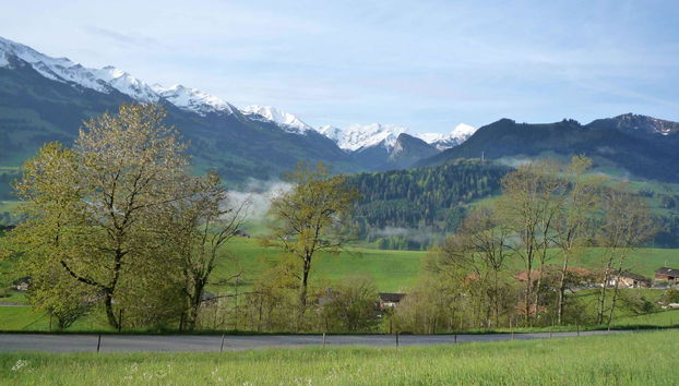 Apartment mit 2 Schlafzimmern in Erlenbach im Simmental - Foto 4