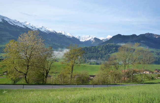Apartamento de 2 quartos em Erlenbach im Simmental - Foto 4