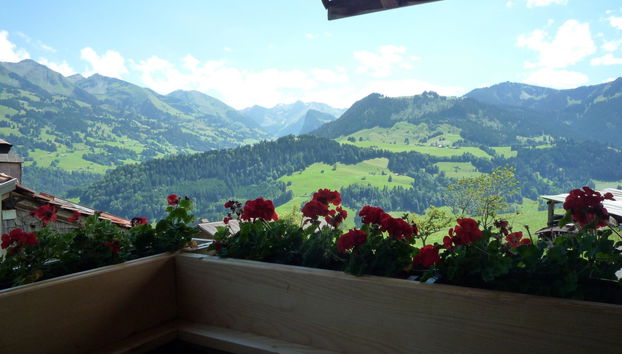 Apartment mit 2 Schlafzimmern in Erlenbach im Simmental - Foto 5