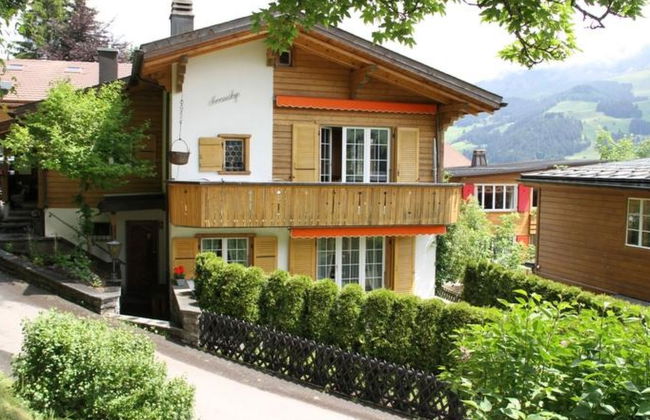 Apartamento de 2 quartos em Adelboden - Foto 1