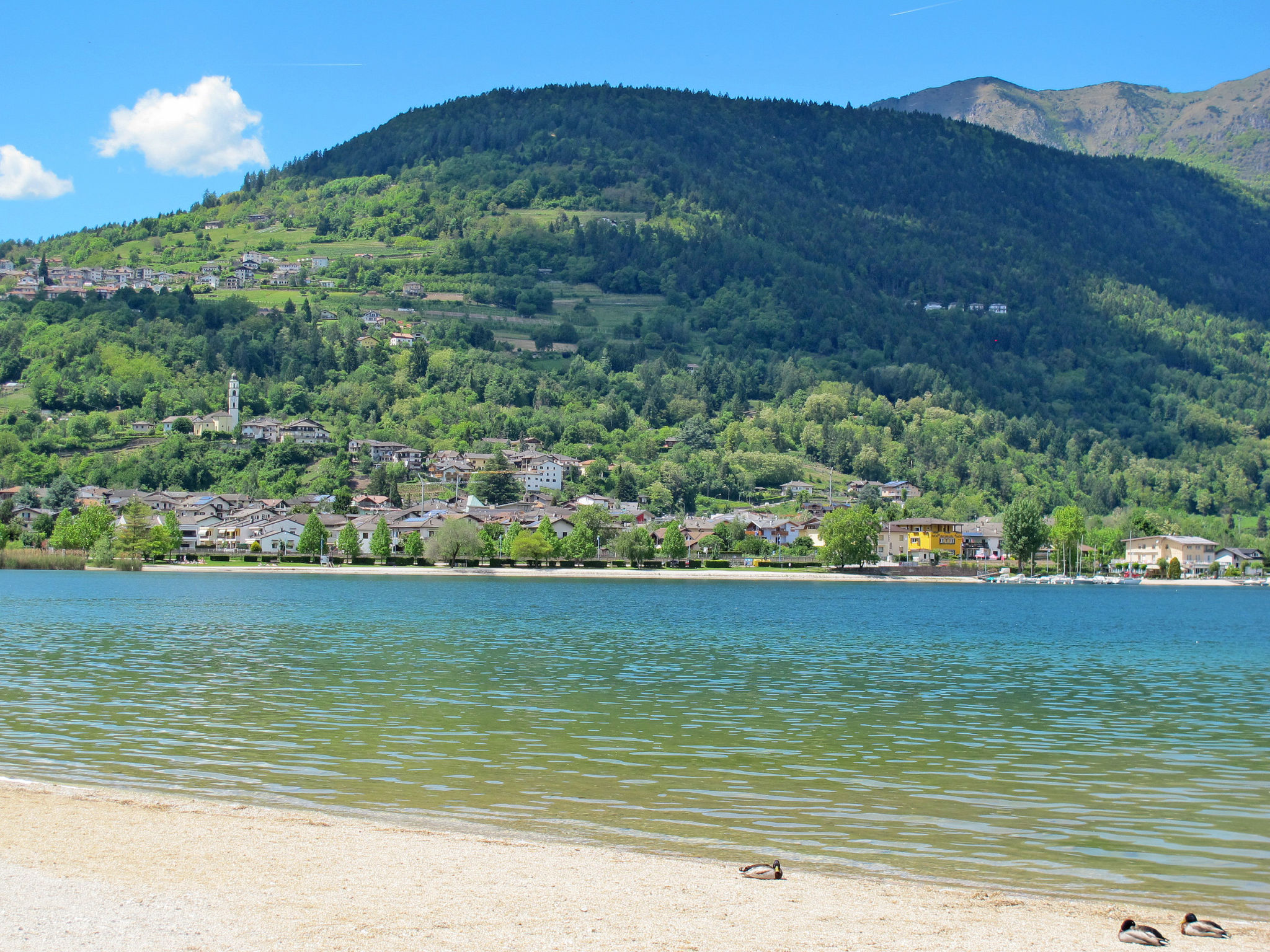 Foto 5 - Appartamento con 2 camere da letto a Calceranica al Lago con giardino e vista sulle montagne