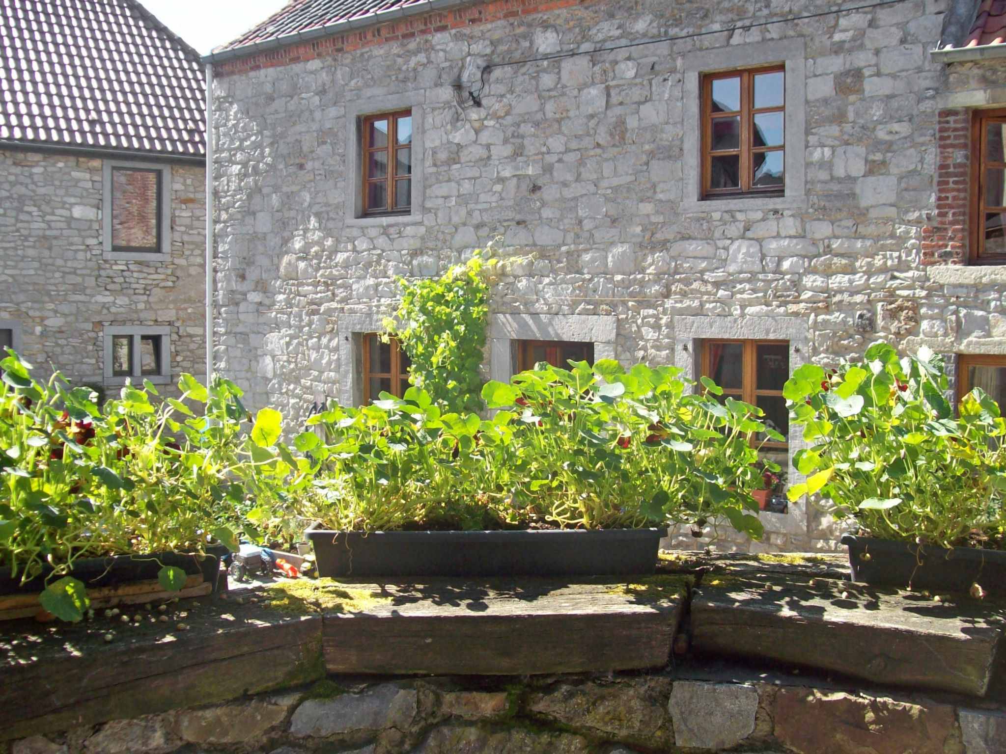 Photo 19 - 2 bedroom House in Florennes with garden and terrace