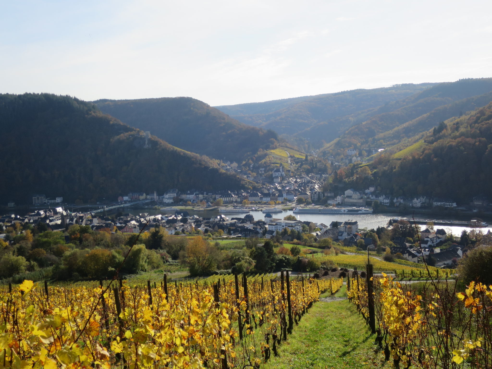 Foto 42 - Appartamento con 1 camera da letto a Traben-Trarbach con giardino e terrazza