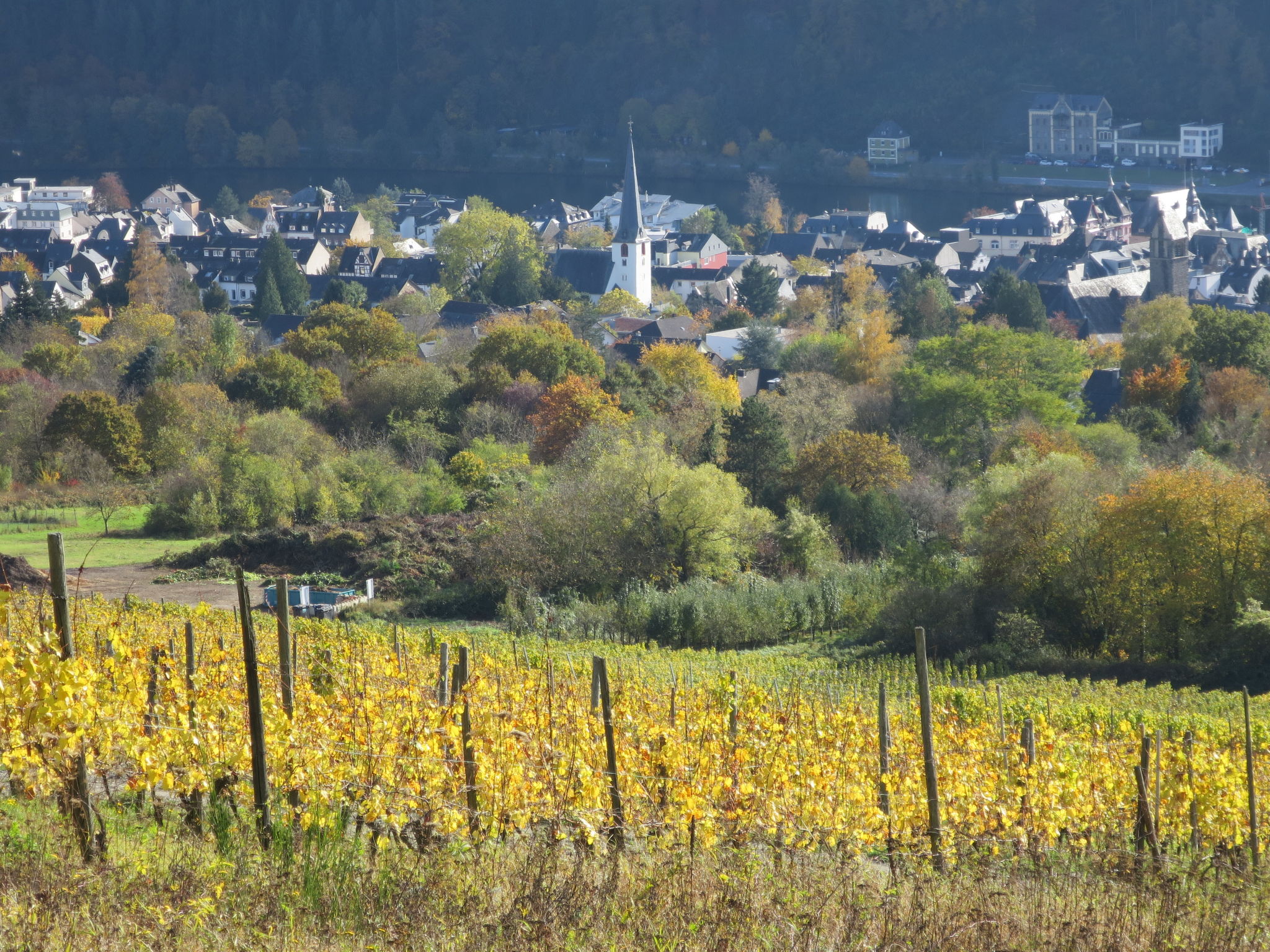 Photo 42 - Maison de 4 chambres à Traben-Trarbach avec jardin et terrasse