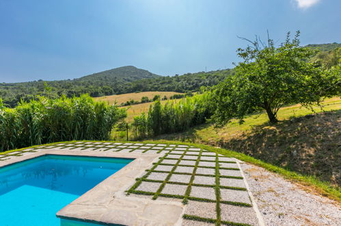 Foto 38 - Appartamento con 3 camere da letto a Rosignano Marittimo con piscina e vista mare