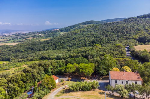 Foto 41 - Appartamento con 3 camere da letto a Rosignano Marittimo con piscina e giardino